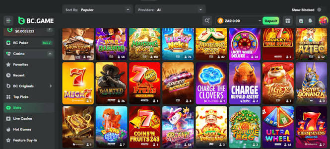 Discover the BC.Game Platform Revolutionizing Online Gaming