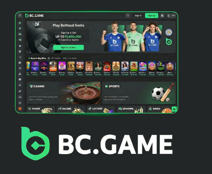 Understanding the BC.Game Mirror Login Process 1745826349